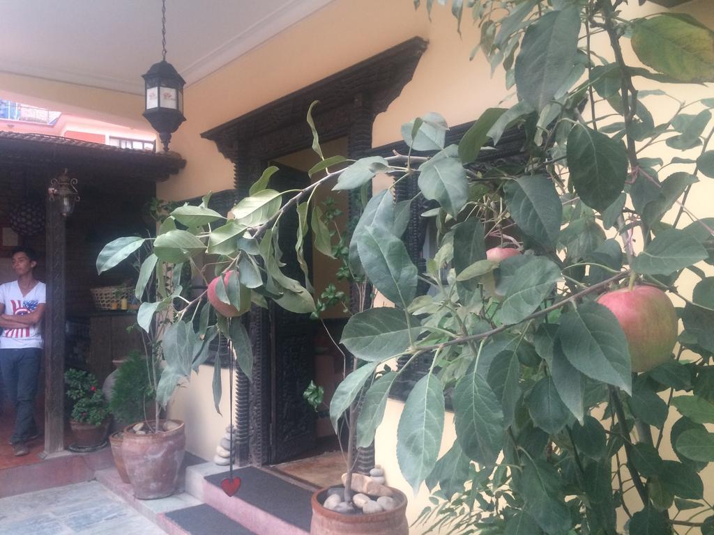 Hotel Mi Casa Kathmandu Exterior foto
